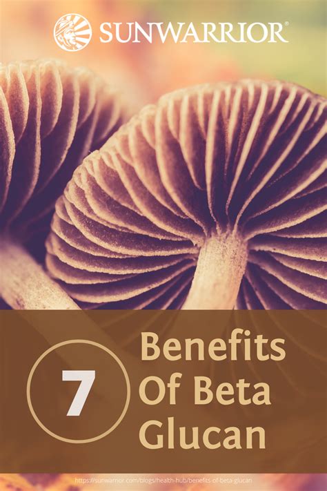 what does beta glucan do|7 Health Benefits of Beta.